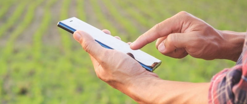 Decorative image - Man using mobile at farm