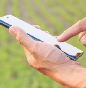 Decorative image - Man using mobile at farm